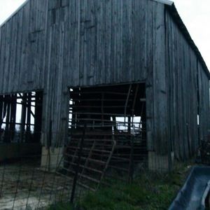 Meet your Posher, Billie